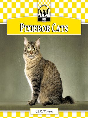 cover image of Pixiebob Cats